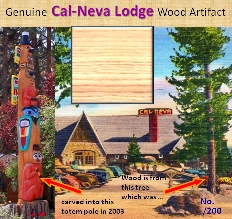 Wood_slice